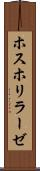 ホスホリラーゼ Scroll