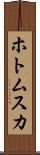 ホトムスカ Scroll