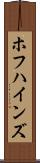 ホフハインズ Scroll
