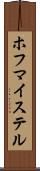 ホフマイステル Scroll