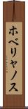 ホベリャノス Scroll