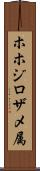 ホホジロザメ属 Scroll