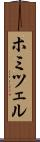 ホミツェル Scroll