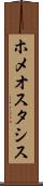 ホメオスタシス Scroll