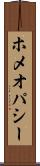 ホメオパシー Scroll