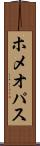 ホメオパス Scroll