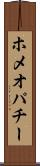 ホメオパチー Scroll