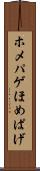 ホメパゲ Scroll