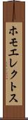 ホモエレクトス Scroll