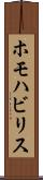 ホモハビリス Scroll