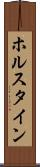 ホルスタイン Scroll