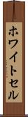 ホワイトセル Scroll