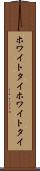 ホワイトタイ Scroll
