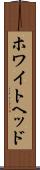 ホワイトヘッド Scroll