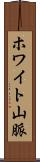 ホワイト山脈 Scroll