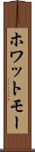 ホワットモー Scroll