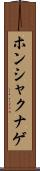 ホンシャクナゲ Scroll