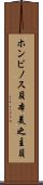 ホンビノス貝 Scroll