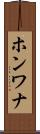 ホンワナ Scroll