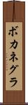 ボカネグラ Scroll