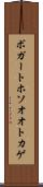 ボガートホソオオトカゲ Scroll