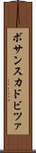 ボサンスカドビツァ Scroll