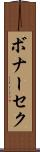 ボナーセク Scroll