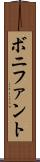 ボニファント Scroll