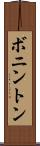 ボニントン Scroll