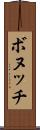 ボヌッチ Scroll