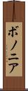 ボノニア Scroll