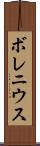 ボレニウス Scroll