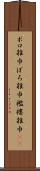 ボロ雑巾 Scroll