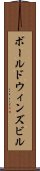 ボールドウィンズビル Scroll