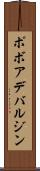 ポボアデバルジン Scroll