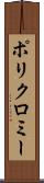 ポリクロミー Scroll