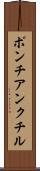 ポンチアンクチル Scroll
