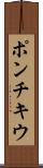 ポンチキウ Scroll