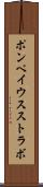 ポンペイウスストラボ Scroll