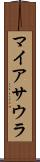 マイアサウラ Scroll
