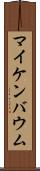 マイケンバウム Scroll