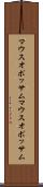 マウスオポッサム Scroll