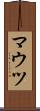 マウツ Scroll