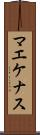 マエケナス Scroll