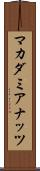 マカダミアナッツ Scroll
