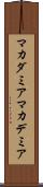 マカダミア Scroll