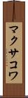 マクサコワ Scroll