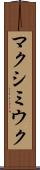 マクシミウク Scroll