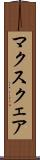 マクスクェア Scroll
