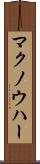 マクノウハー Scroll